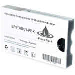 Cartucho de Tinta EPSON ph negro 6031